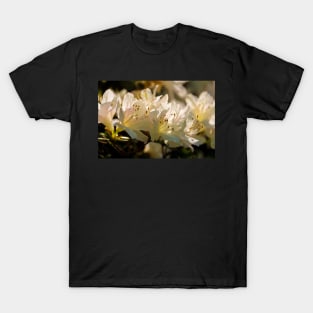 White Azalea Flowers T-Shirt